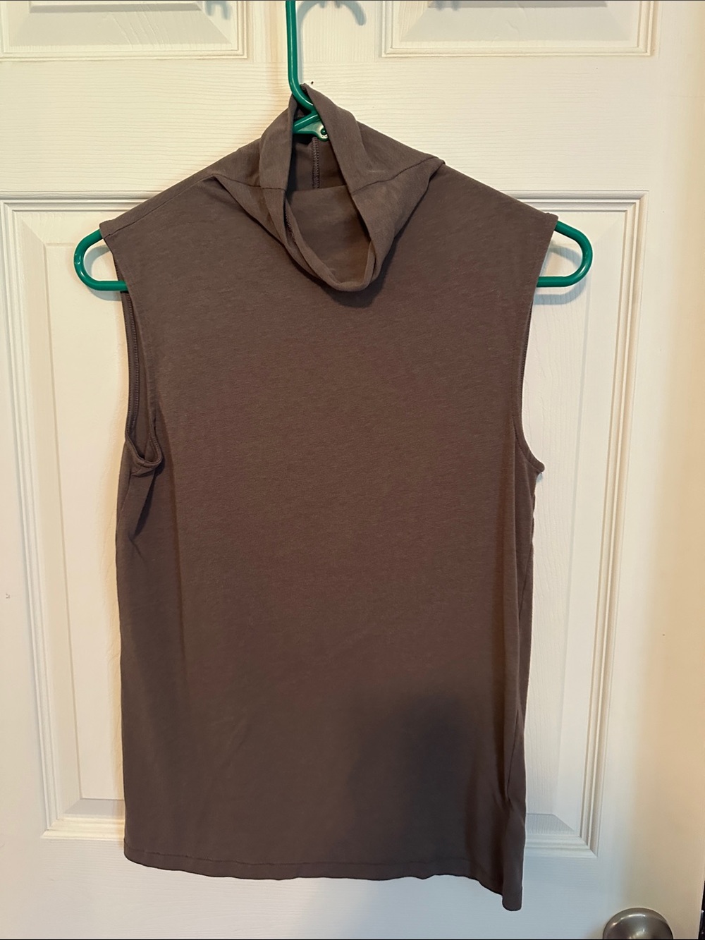 GAP Feather Turtleneck in Brown